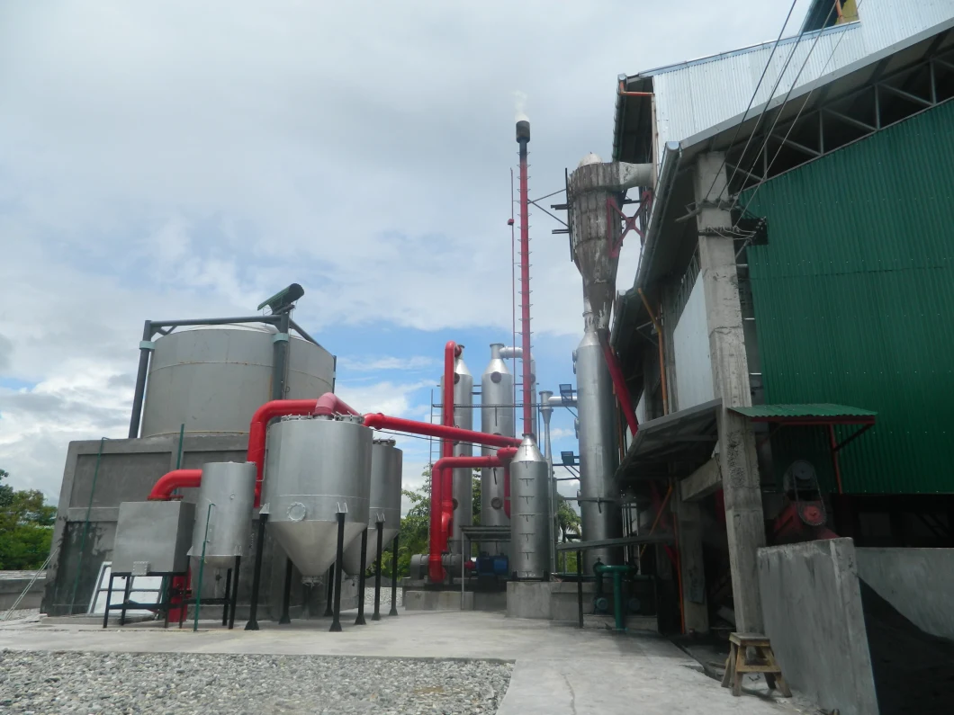 Syngas Manufacturer Biomass Gasifier Wood Block Rice Straw Peanut Shells Straw Palm Kernel Shell Stove Generator Set