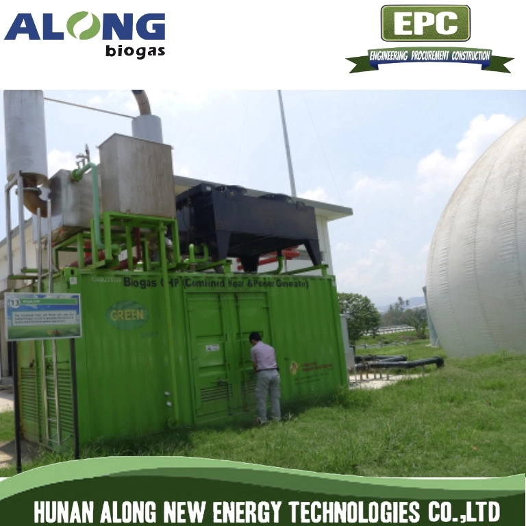 1MW Biogas Power Plant