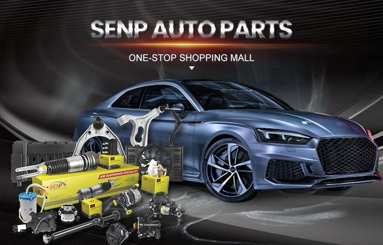 Senp Auto Spare Part Other Vehicle Parts Auto Engine Part Auto Parts