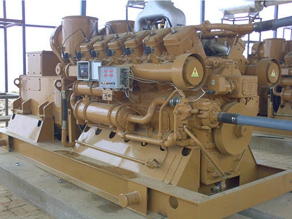 High Performance Biomass Generator Set with Good Engine Export to Russia