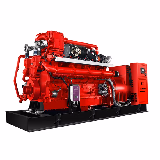 Bio Gas Generator Set/Natural Gas Generator Set/Biomass Gas Generator Set
