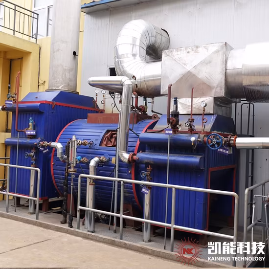 Horizontal Boiller Exhaust Gas Heat Recovery Steam Generator for Biogas Engines