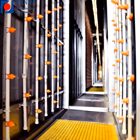 Custom Service Upgrade Power Coating Prouction Line Plant