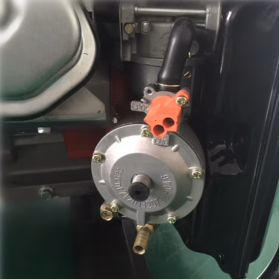 Power Value 5kw LPG Natural Generator Biogas Electric Generator Dual Fuel Gasoline LPG Portable Generator