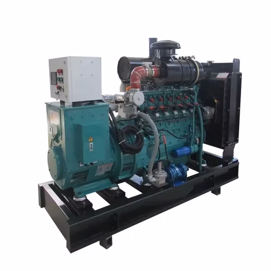Electric Generator 1000kw Natural Gas Power Plant with Wholesale Price