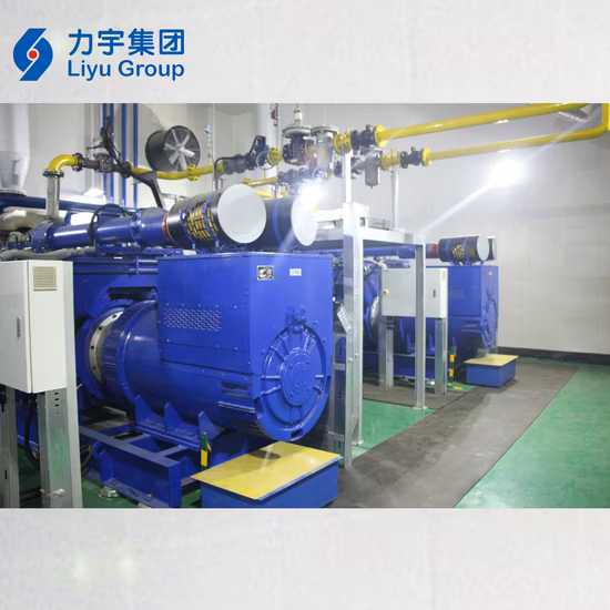 China Liyu 0.8MW/800kw High Voltage Gas-Fired Internal Combustion Engine Energy Saving Biomass Gas Powerd Generator Set Manufacturer