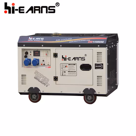 1105 1102 New Publish! ! ! 10kw One Cylinder Diesel Engine Diesel Generator for Done (DG14000E) (DG15000E) Basic Customization